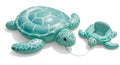 Turtle Duo
