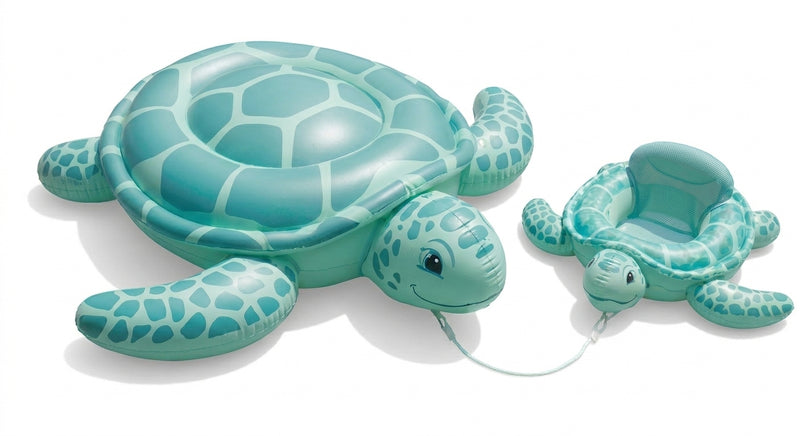 Turtle Duo